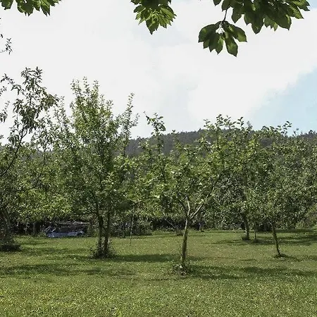Casa Ines Villaviciosa (Asturias)